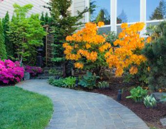 Paver Walkway: A Complete Guide