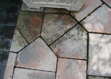 How to Clean Dirty Pavers: Brief Guide