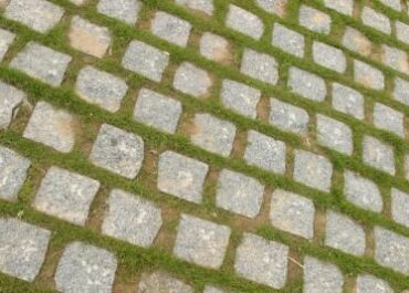 How to Get Rid of Moss Between Pavers